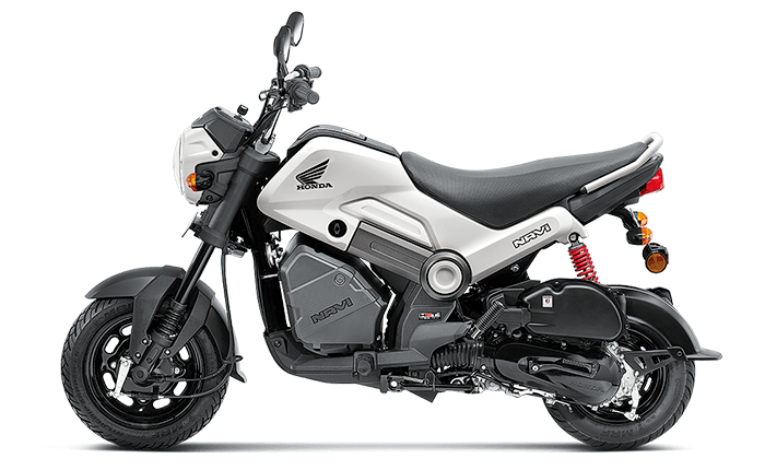 Honda-Navi Shasta White