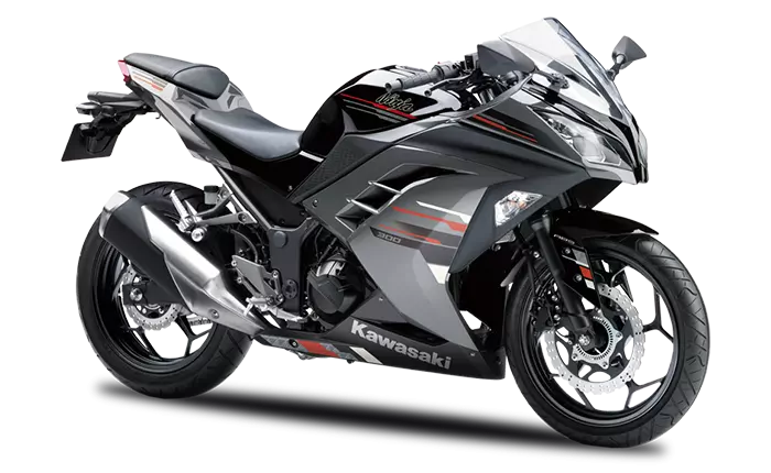 kawasaki-ninja-300-ebony-metallic-moon-dust-grey.webp