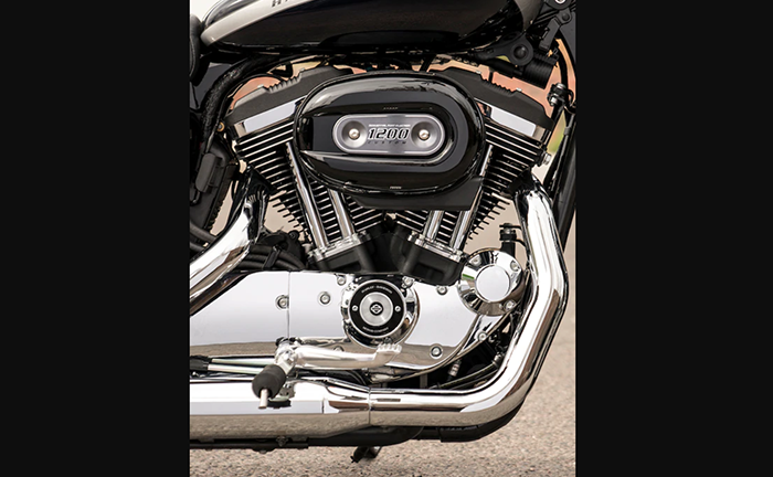 Harley Davidson 1200 Custom Engine