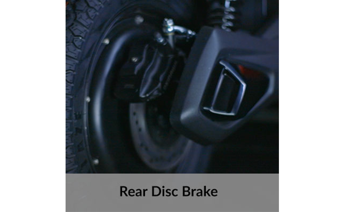 Rear Disc Brake