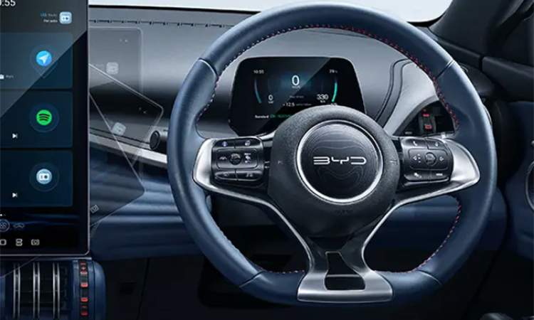 Multifunctional-steering wheel