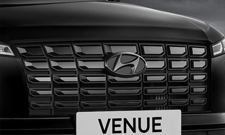 Black painted front grille and Hyundai logo
