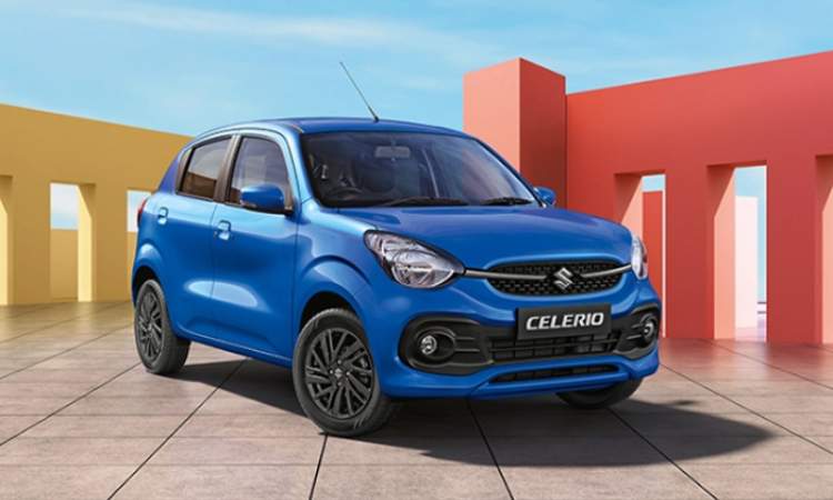 3D Organic Sculpted Design