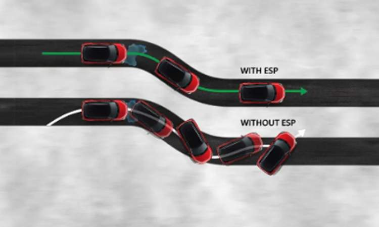 Electronic Stability Program
