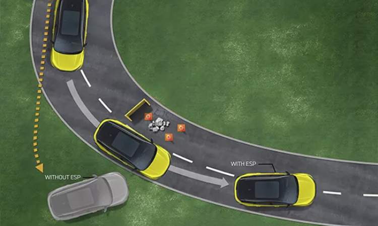 Electronic Stability Program (ESP)