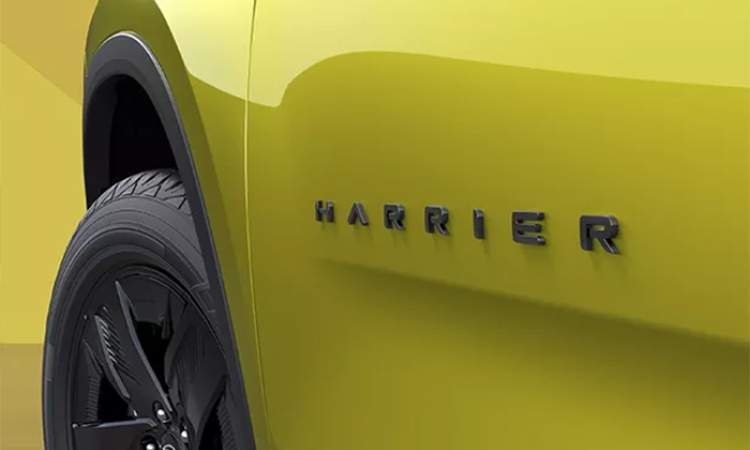 Signature Harrier Mascot on doors