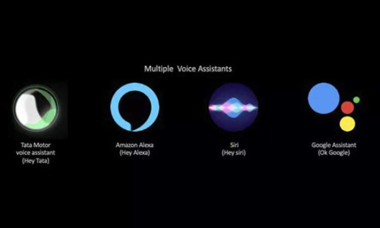 Multiple Voice Assistants