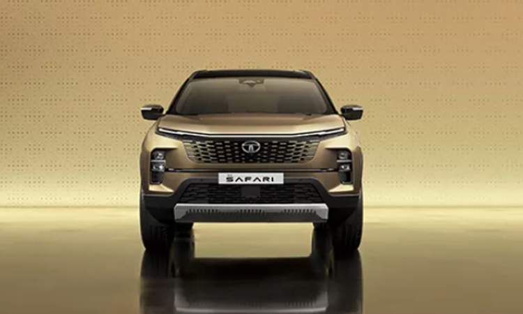 New Parametric Grille