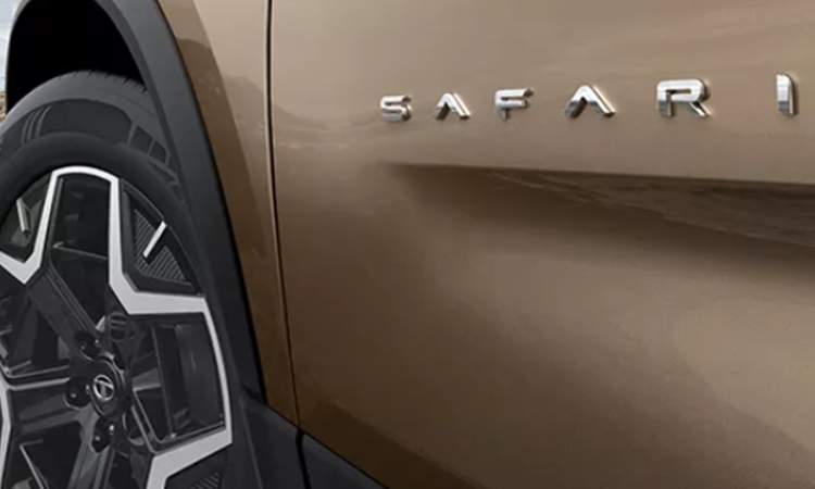 Signature Safari Mascot on doors