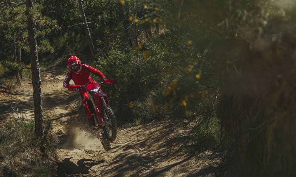 Ducati Desmo450 Enduro India 2027 edited 3