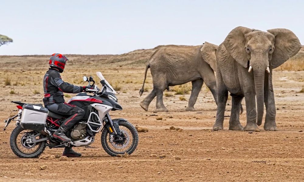 Ducati Multistrada V4 Rally Launched In India; Prices Start At Rs 29.72 Lakh