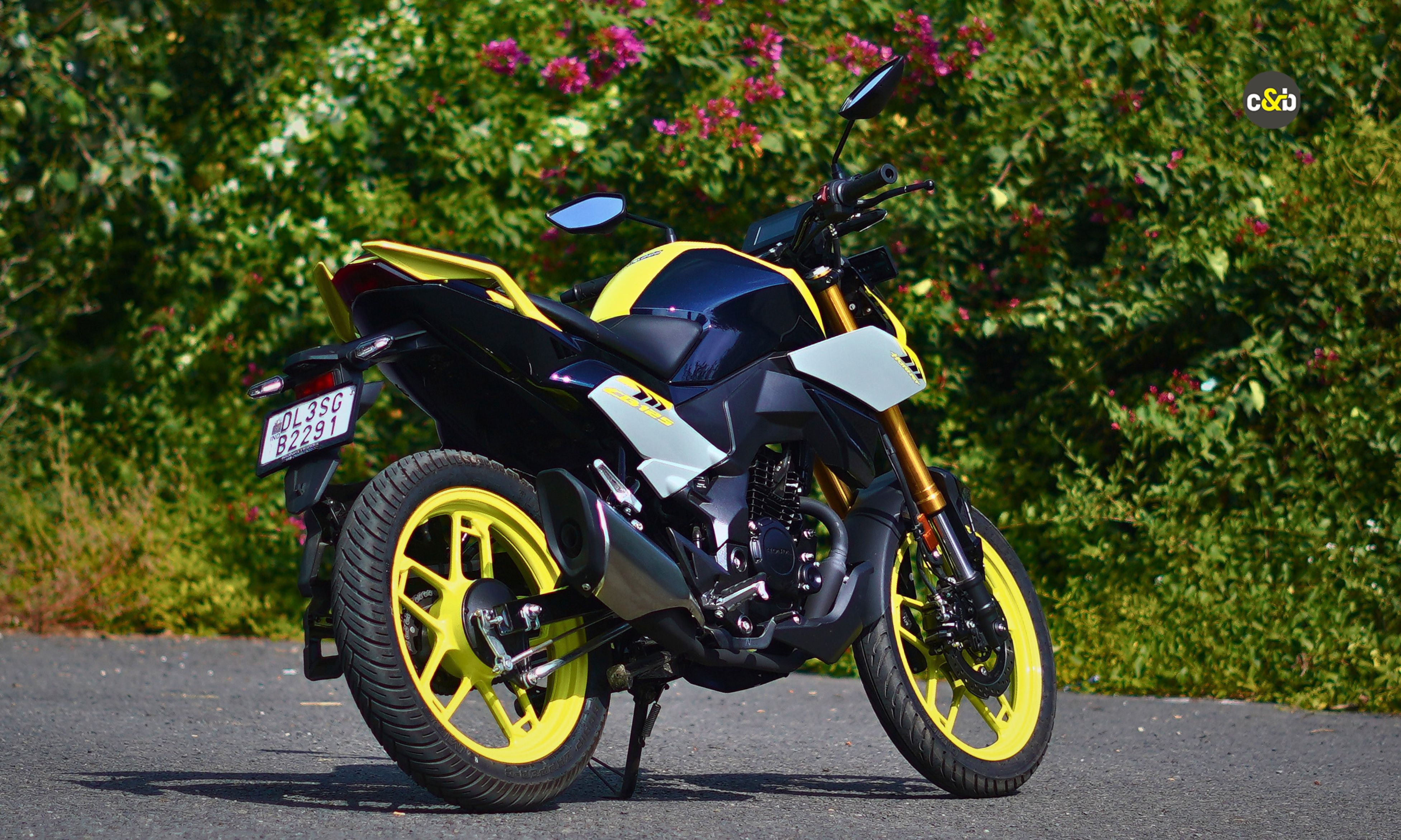2025 Honda CB 125 Hornet m5