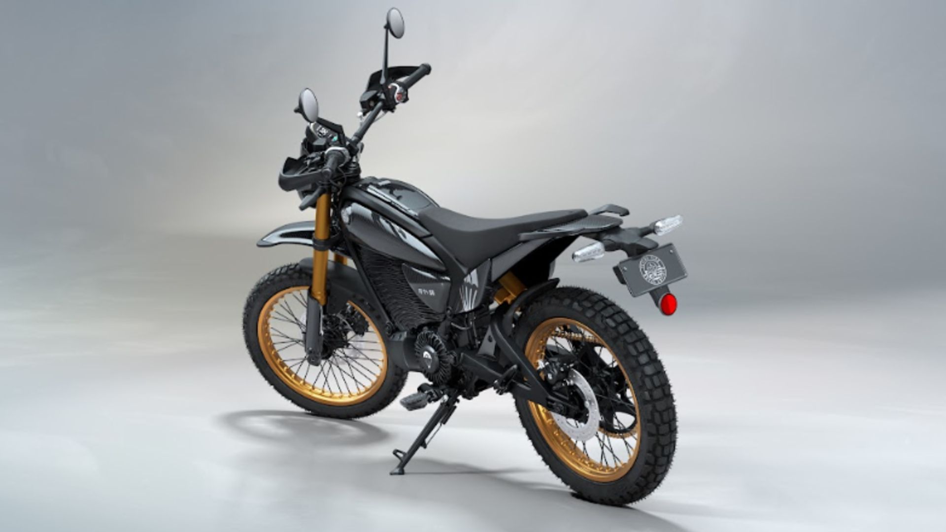 RE Flying Flea S6 m4