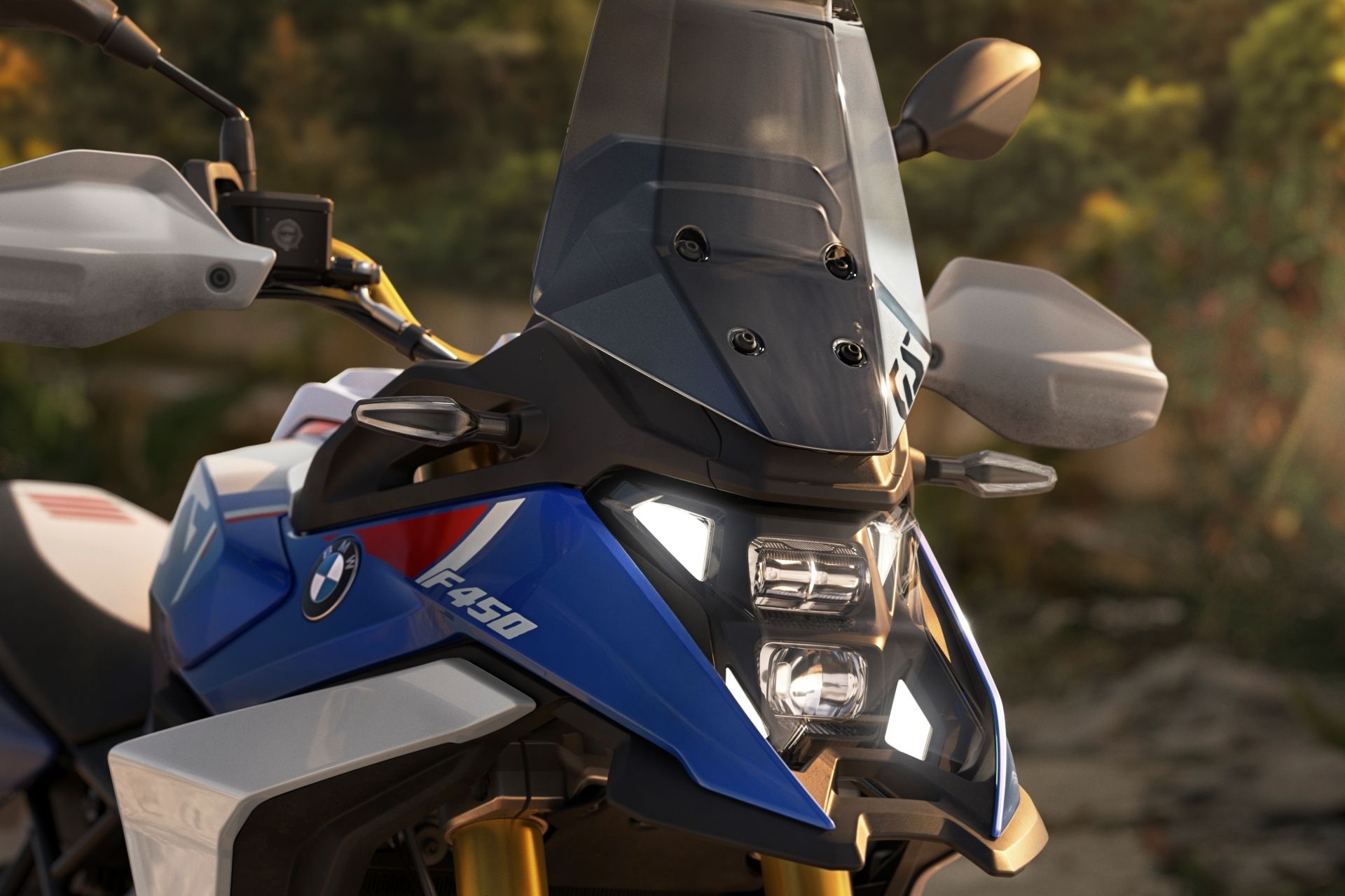 2025 BMW F 450 GS m11