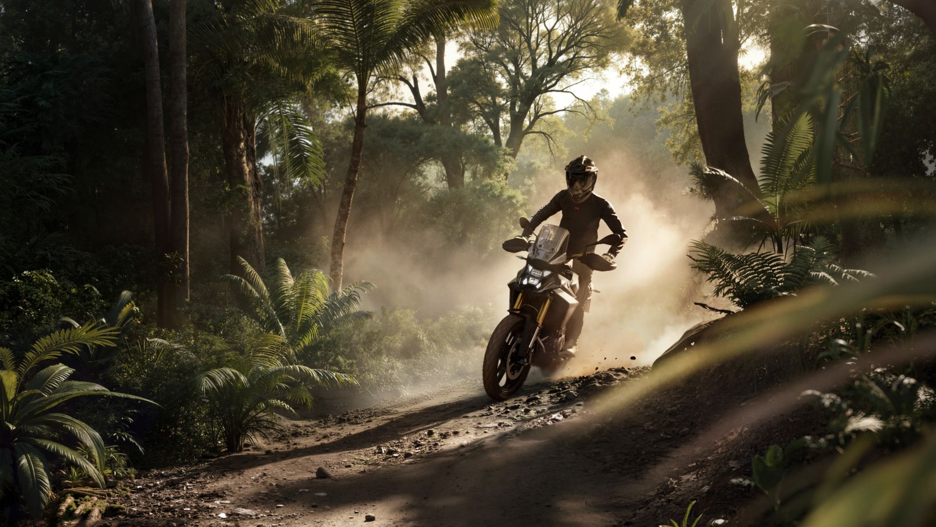 2025 BMW F 450 GS m13