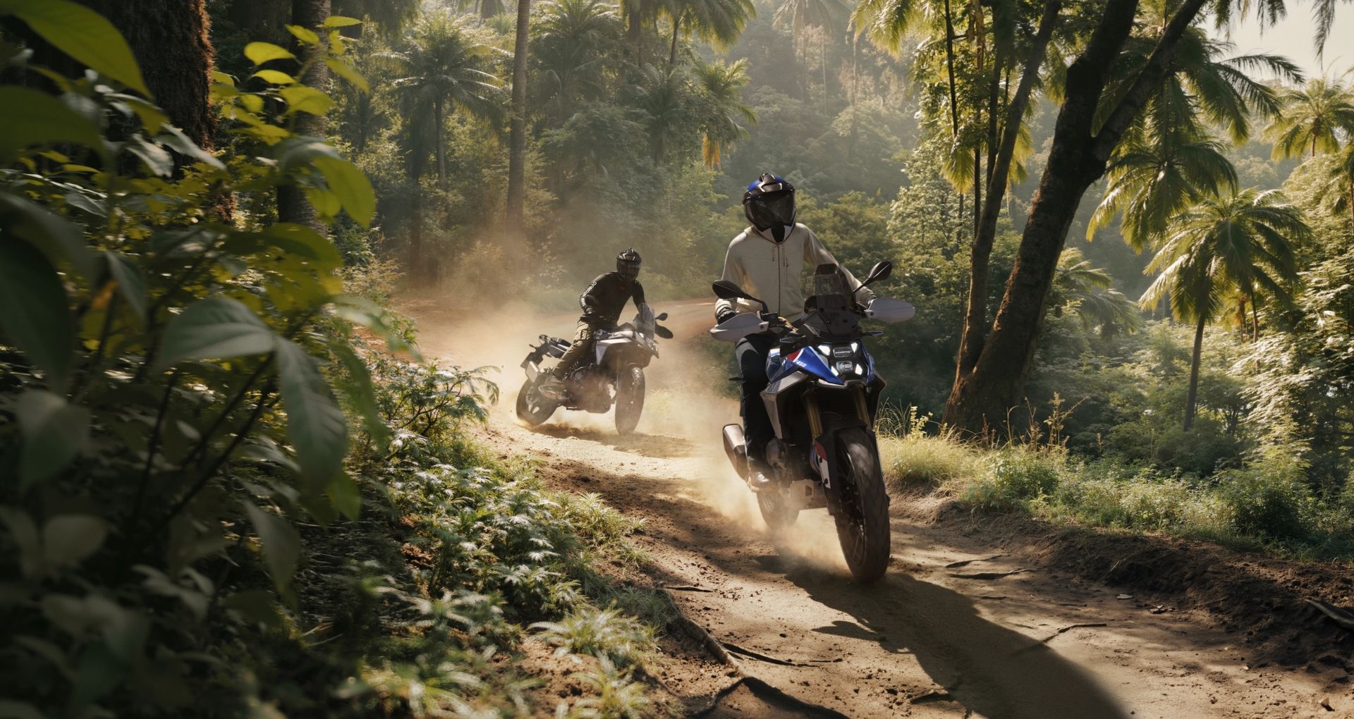 2025 BMW F 450 GS m14