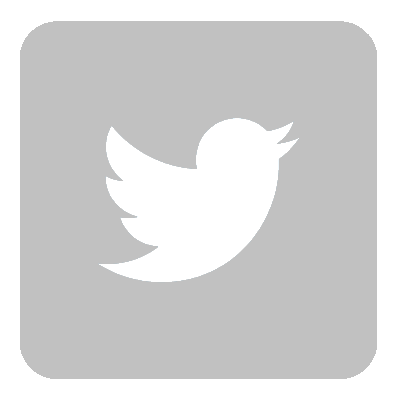 Twitter Is Losing Its Most Active Users, Internal Documents Show