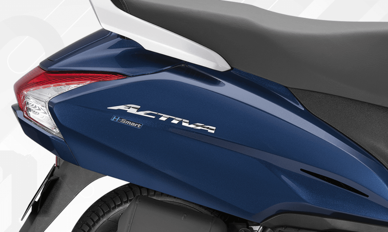 Side Profile & Rear Section